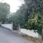 Arhondiko Estate Kato Polydendri Ano Polidhendrion