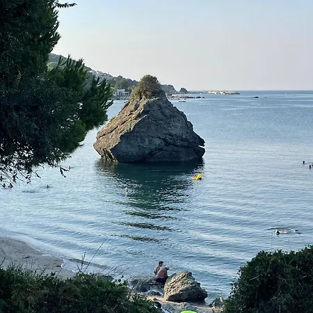 Villa Arhondiko Estate Kato Polydendri Ano Polidhendrion